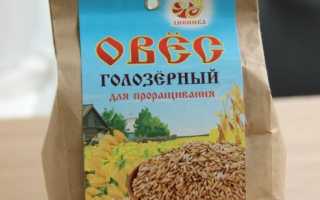 Как прорастить овес в домашних условиях для еды: пошаговая инструкция