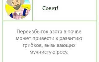 Как избавиться от мучнистой росы на растениях, кустах и деревьях? Меры борьбы!