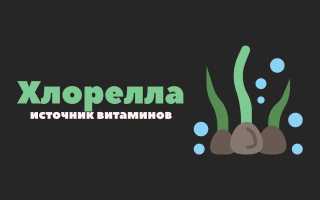 Хлорелла в таблетках (водоросли прессованные таблетированные) №300
