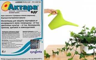 Инсектицид Актара, как применять