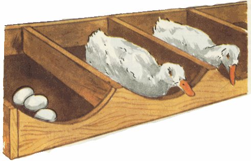 Гнезда для уток