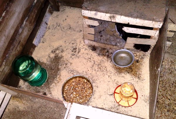 Гнездо для утки из деревянного ящика