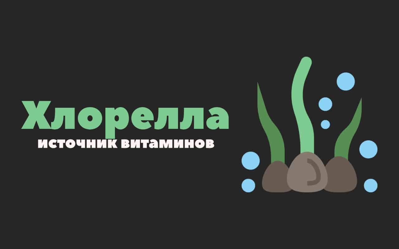 хлорелла
