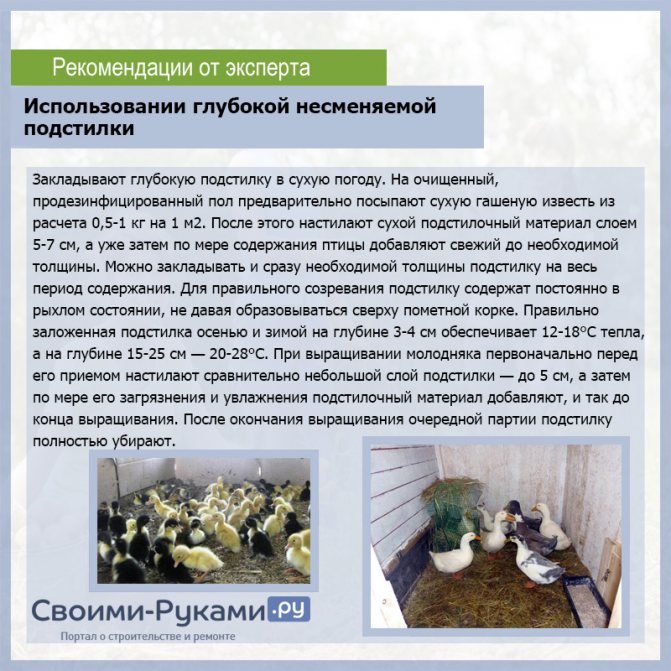 Использовании глубокой несменяемой подстилки