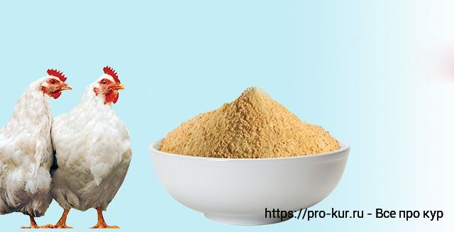 Кормление кур костной и мясокостной мукой.