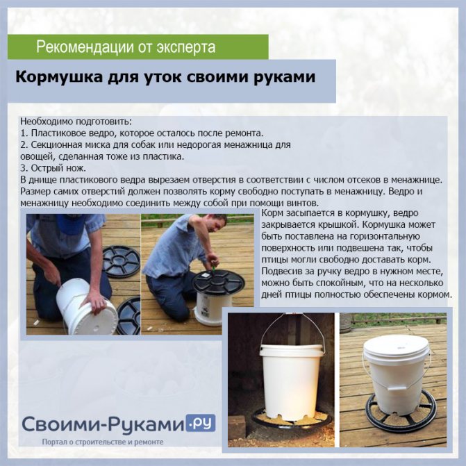 Кормушка для уток своими руками