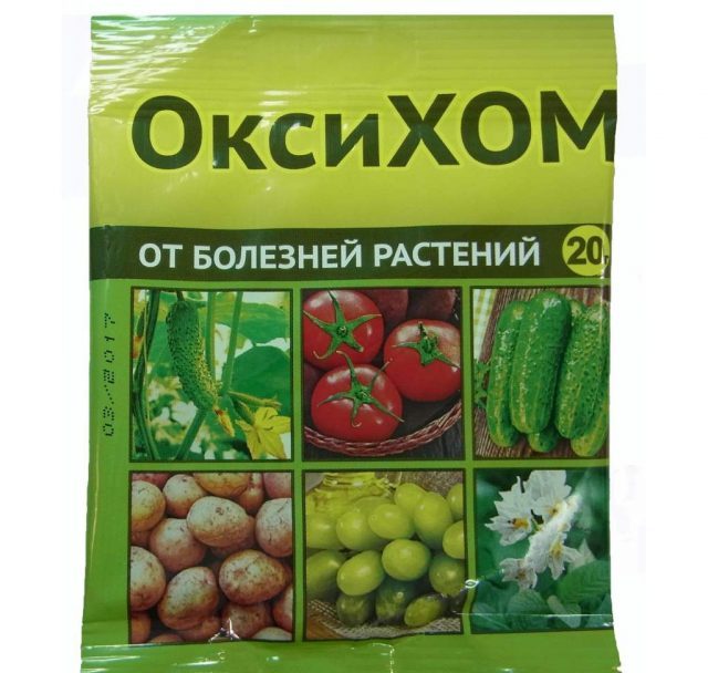 Оксихом: применение фунгицида для растений на огороде и в саду