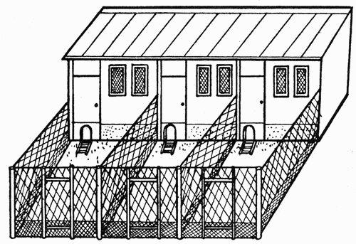 Птичник для уток
