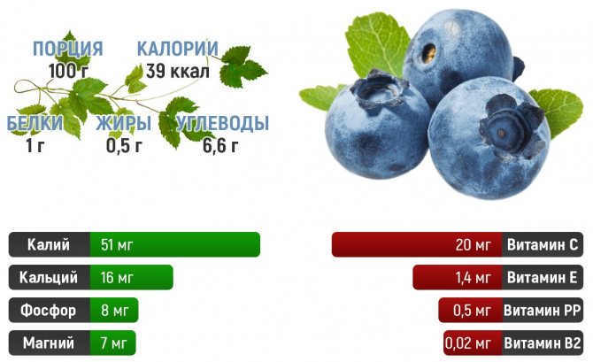 Состав голубики