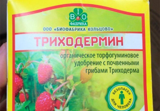 Триходермин – применение для различных растений, полезные свойства и отзывы
