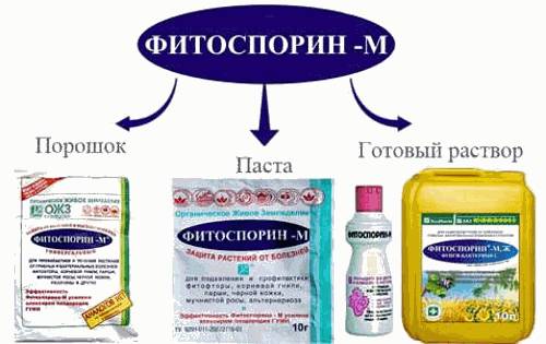 Виды препарата